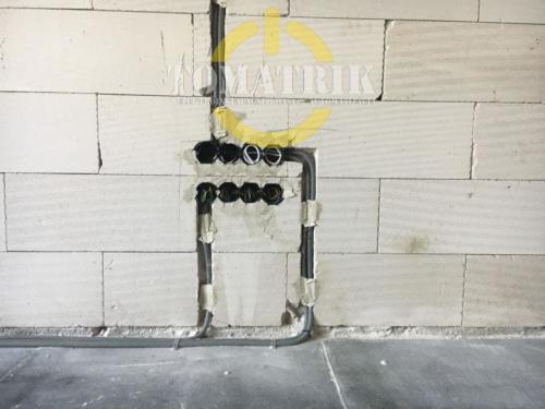 IMG 2553